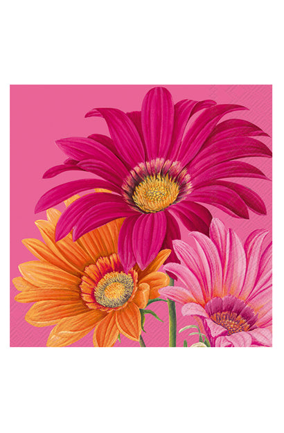Joyful Gerbera Napkin Set