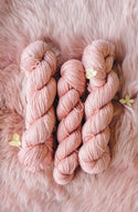 Pudding & Purl