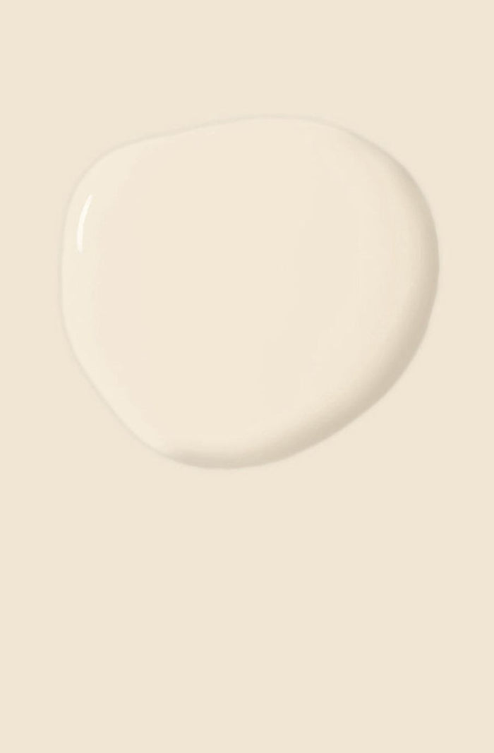 Satin Paint by Annie Sloan - Original