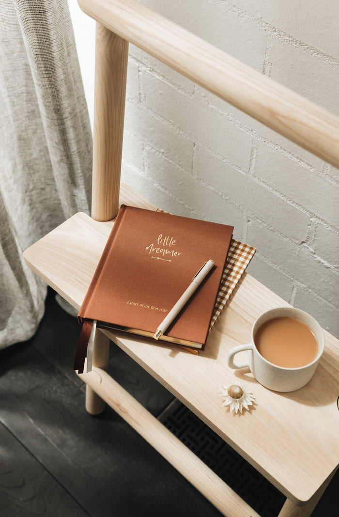 Metal Rollerball Pen - Cashmere