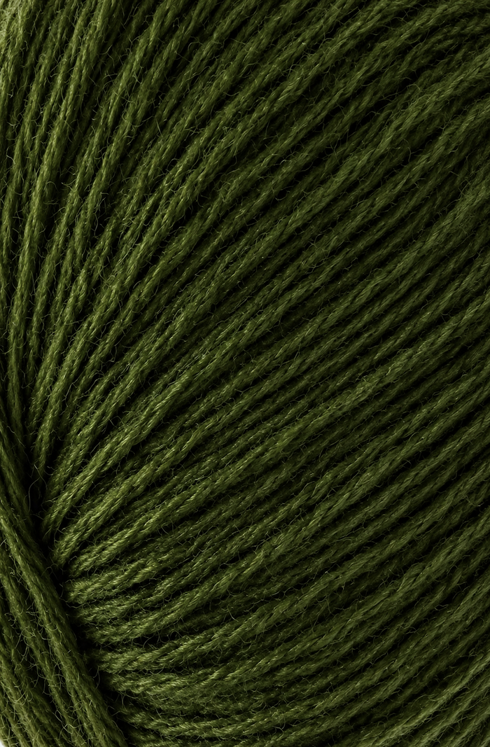 Cashmere Classic 579 Memphis