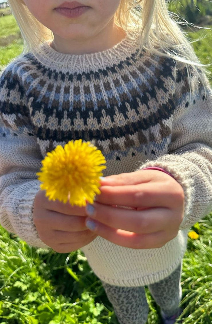 Learn to Knit a Colourwork Sweater - Project Class