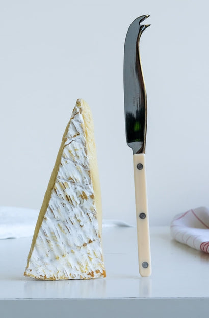 Cheese Knife - Ivory