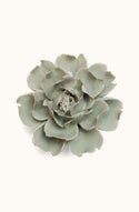 Ceramic Flower - Pistachio Green Rose