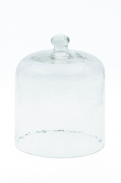 Glass Dome - Clear