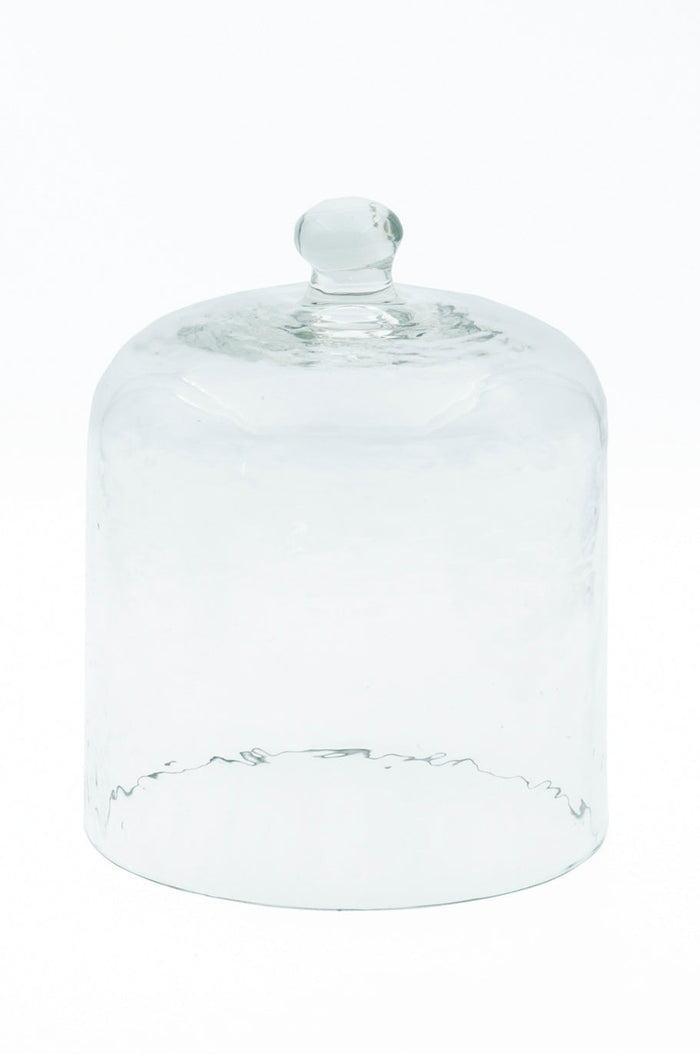 Glass Dome - Clear