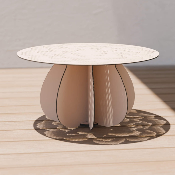 Parodia Magnifica Table 80 - Large