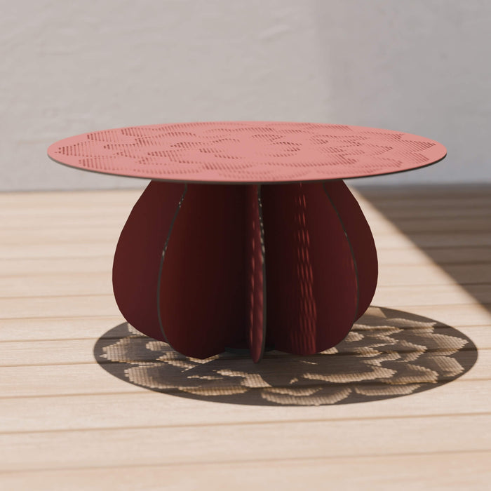 Parodia Magnifica Table 80 - Large