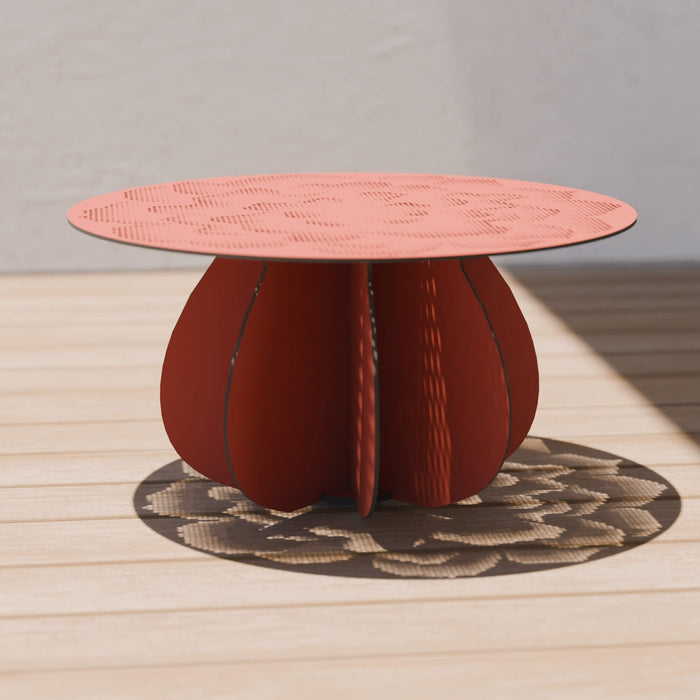 Parodia Magnifica Table 80 - Large