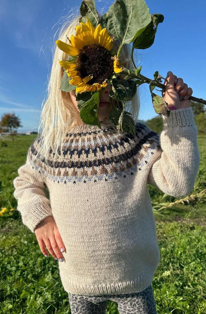 Learn to Knit a Colourwork Sweater - Project Class