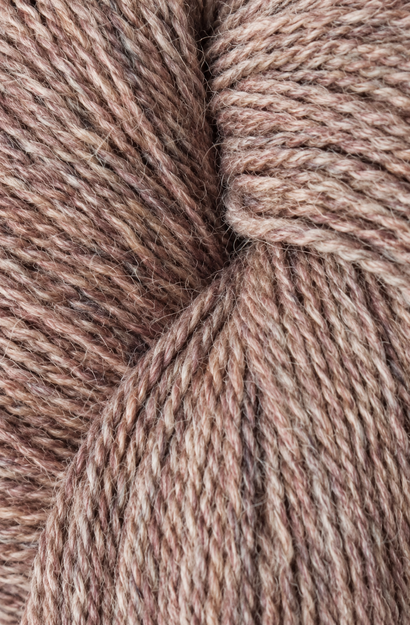 Alpaca 2 Sky