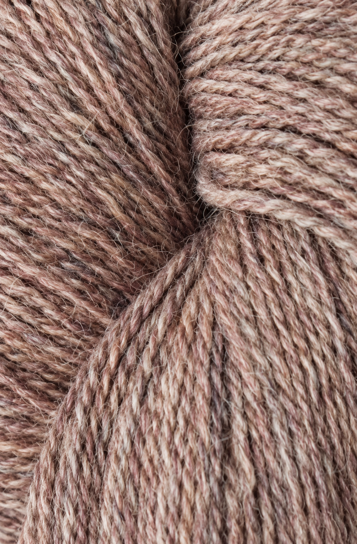 Alpaca 2 Sky
