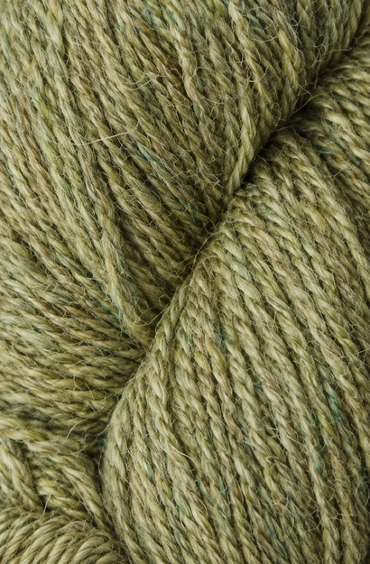 Alpaca 2 Thyme