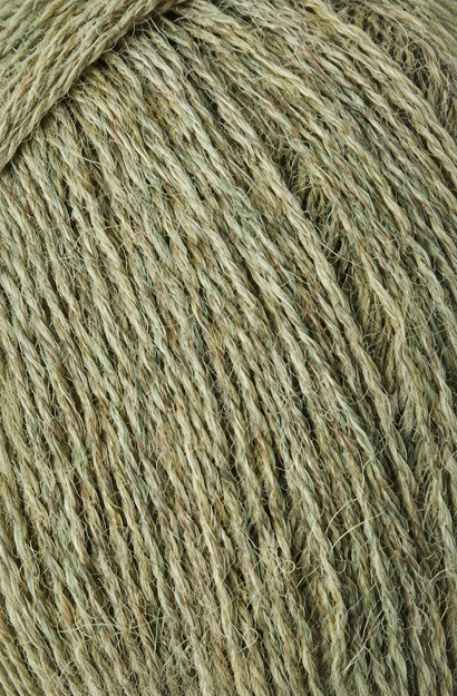 Alpaca 1 Thyme