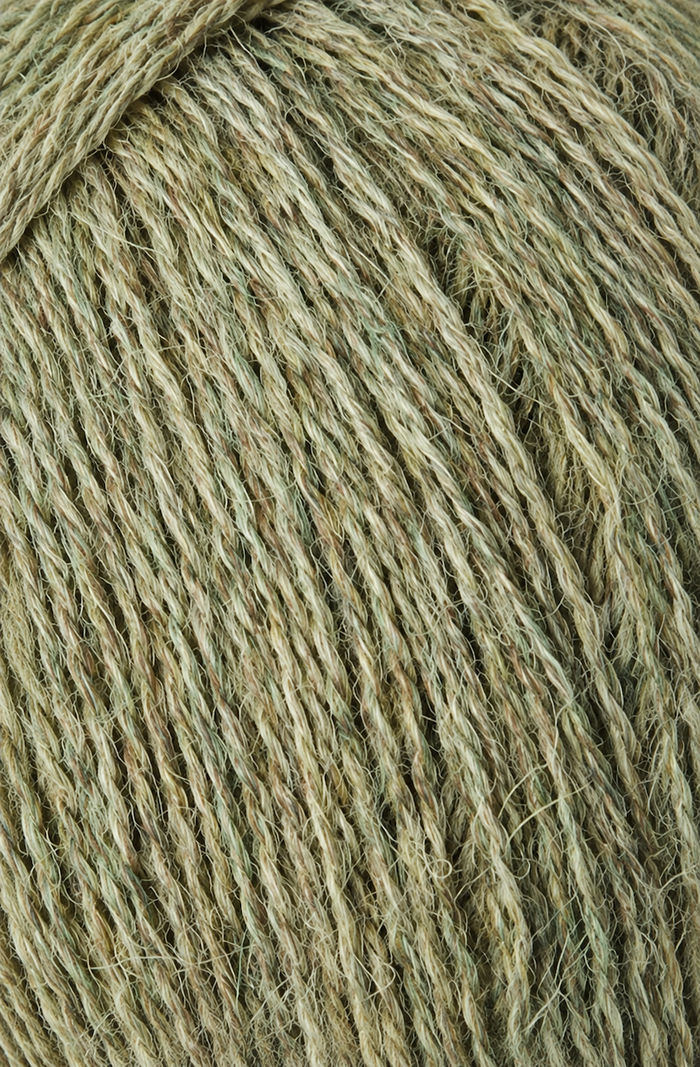 Alpaca 1 Thyme