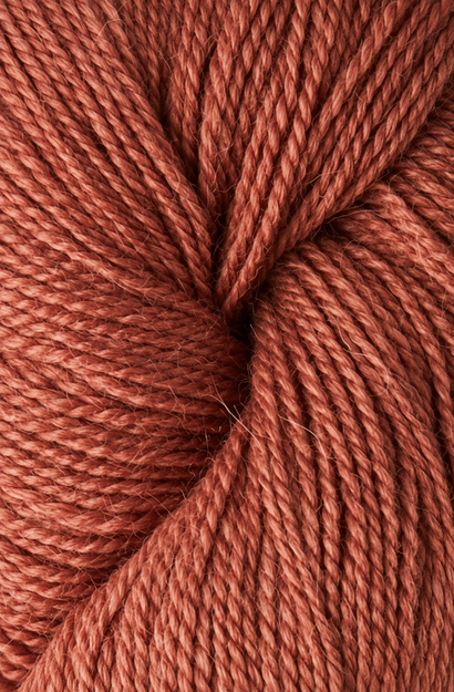 Alpaca 2 Coral 1