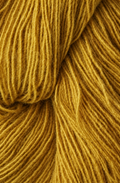 Spinni Ochre 3