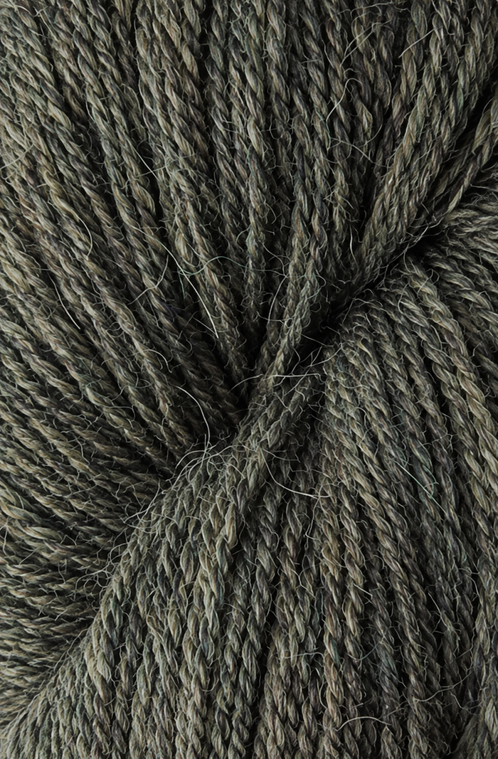 Alpaca 2 Forest
