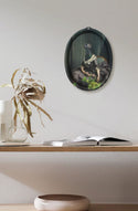 Isild Tray