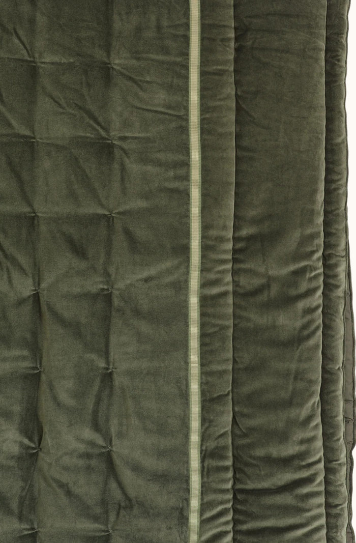 Luchesi Olive Comforter