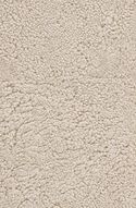 New Zealand Short Curly Wool Sheepskin Rug - Rearl - 2 Sheepskins