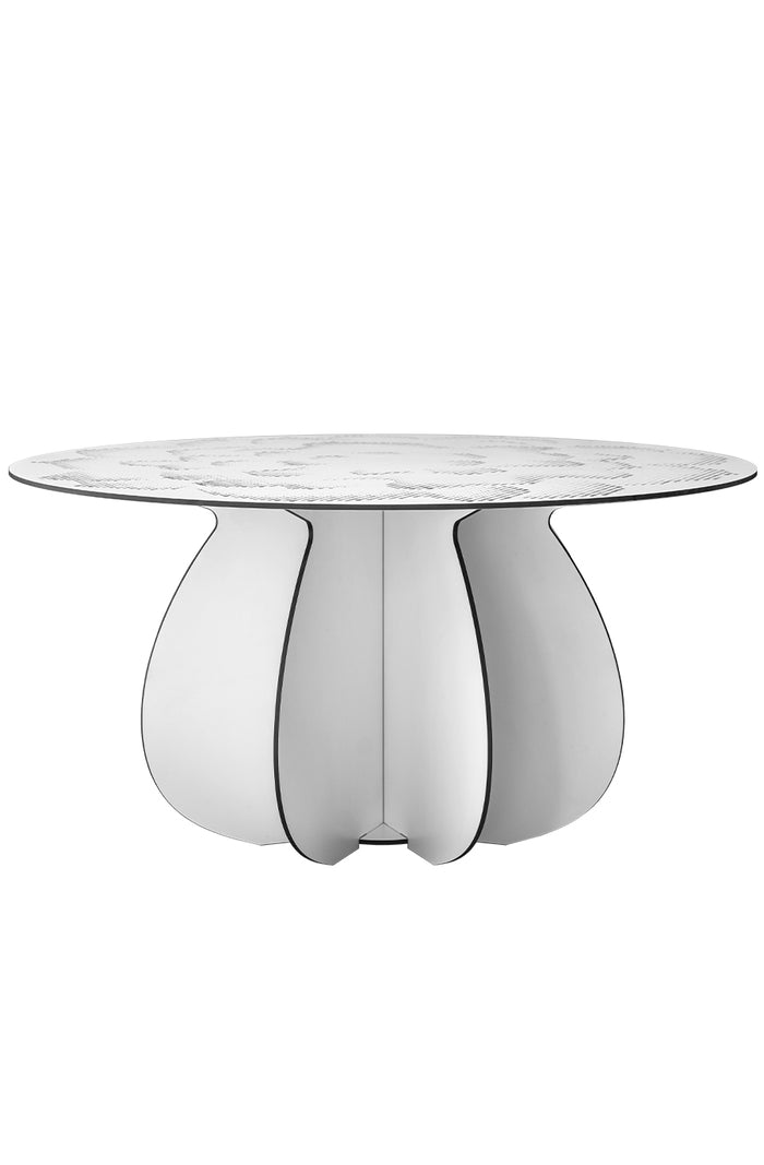 Parodia Magnifica Table 80 - Large