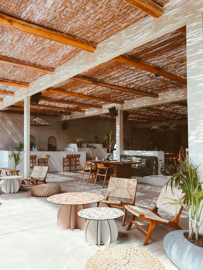 Parodia Magnifica Table 80 - Large