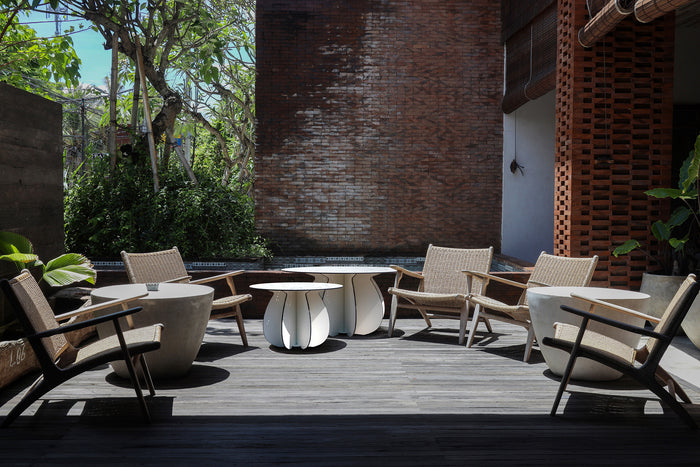 Parodia Magnifica Table 80 - Large