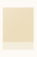 Petite Notebook - Limoncello
