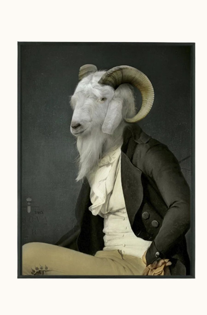 Rodolphe Portrait