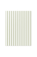 Petite Notebook - Sage Stripe
