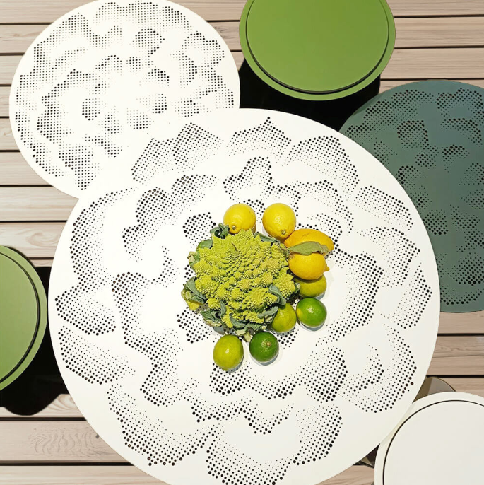 Parodia Magnifica Table 80 - Large