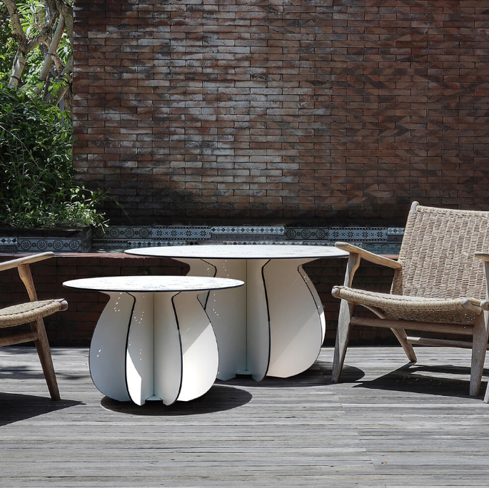 Parodia Magnifica Table 80 - Large