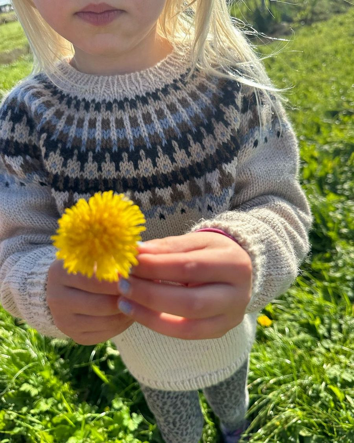 Celeste Sweater Junior Pattern