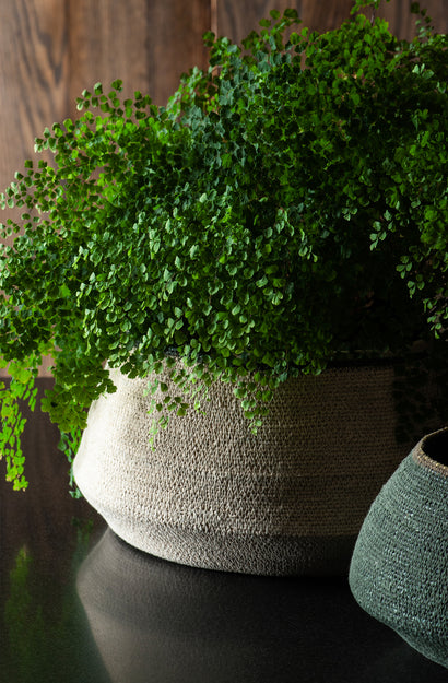 Sfera Natural/Forest Basket Medium