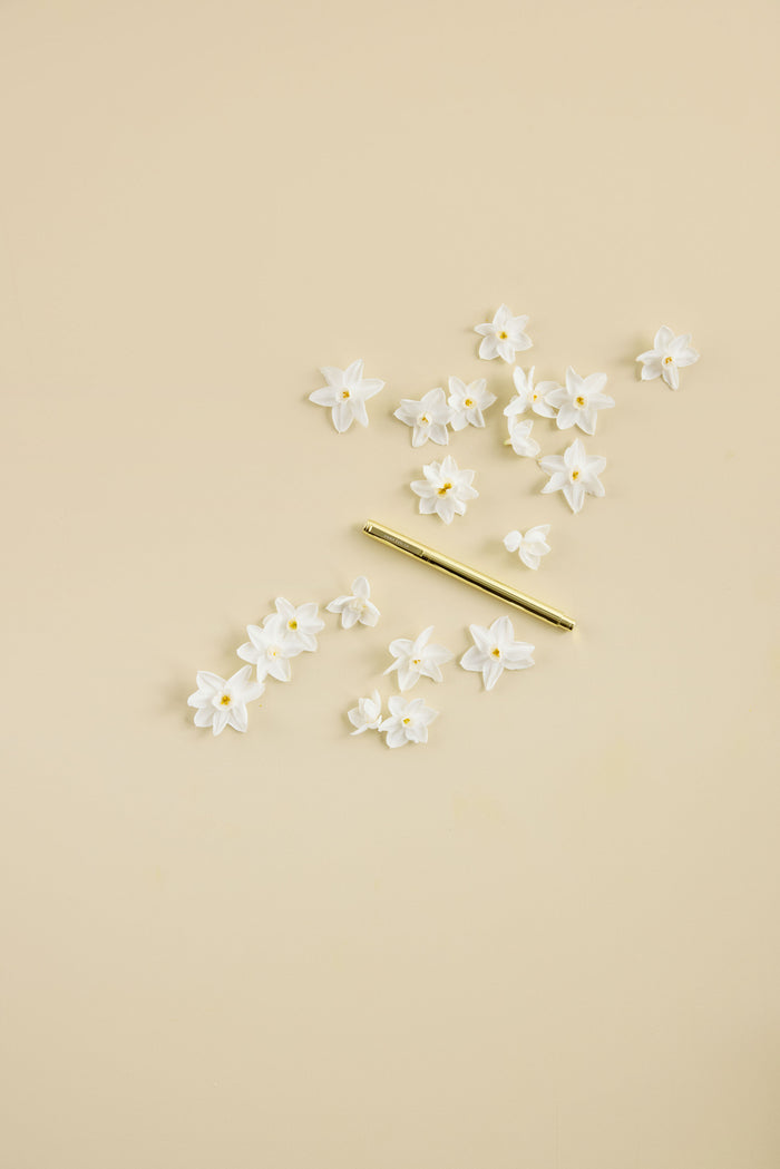 Metal Rollerball Pen - Golden