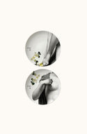 Porcelain Parnasse - hiver
