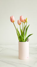 Tulip Ever After - Pink