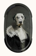 Sapho Tray