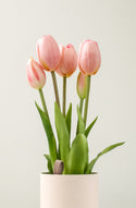 Tulip Ever After - Pink