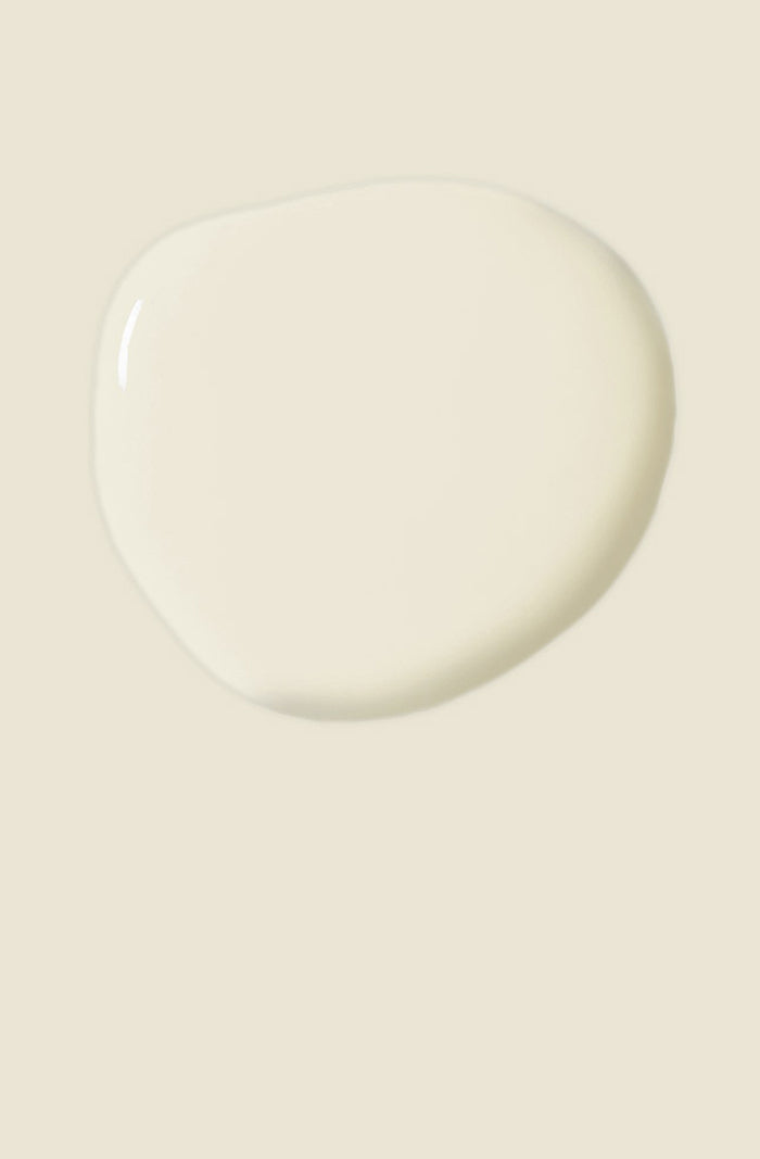 Satin Paint by Annie Sloan - Old White