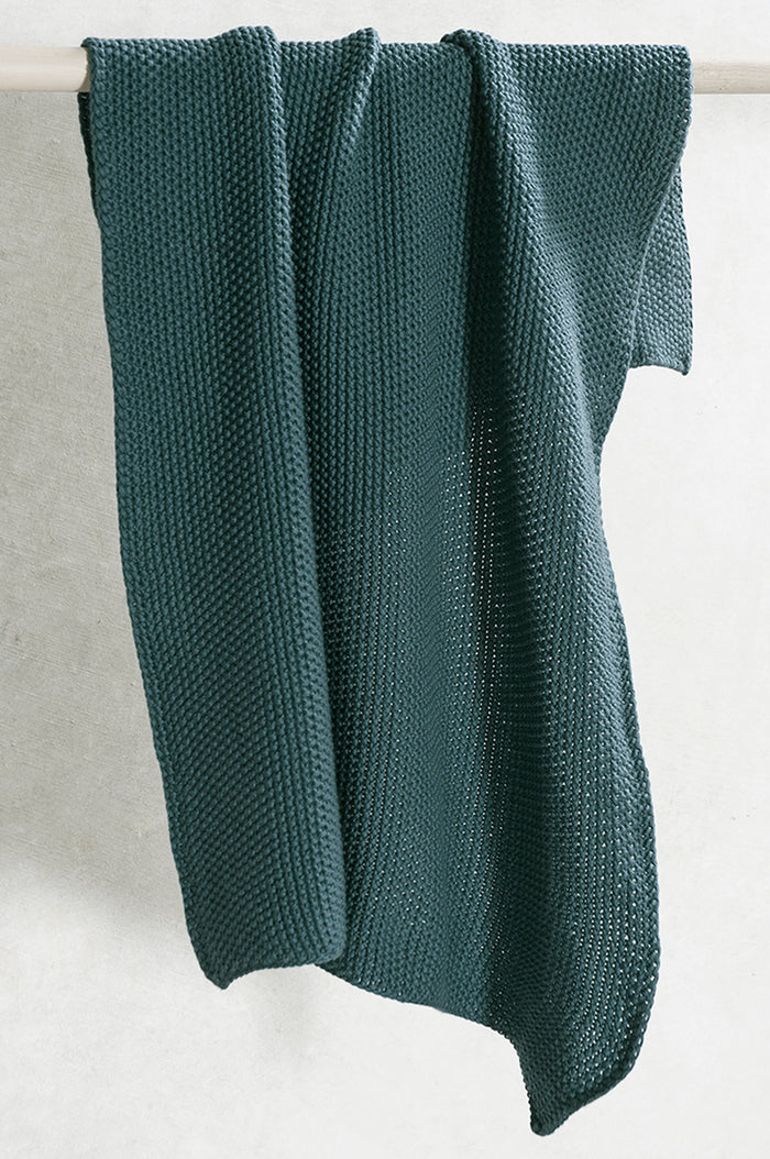 lavette teal hand towels - set of two