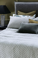 Ganuchi Grey Pillowsham Pair