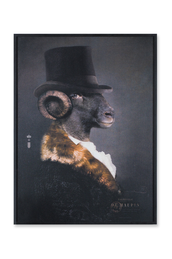 Mlle DE Maupin Portrait