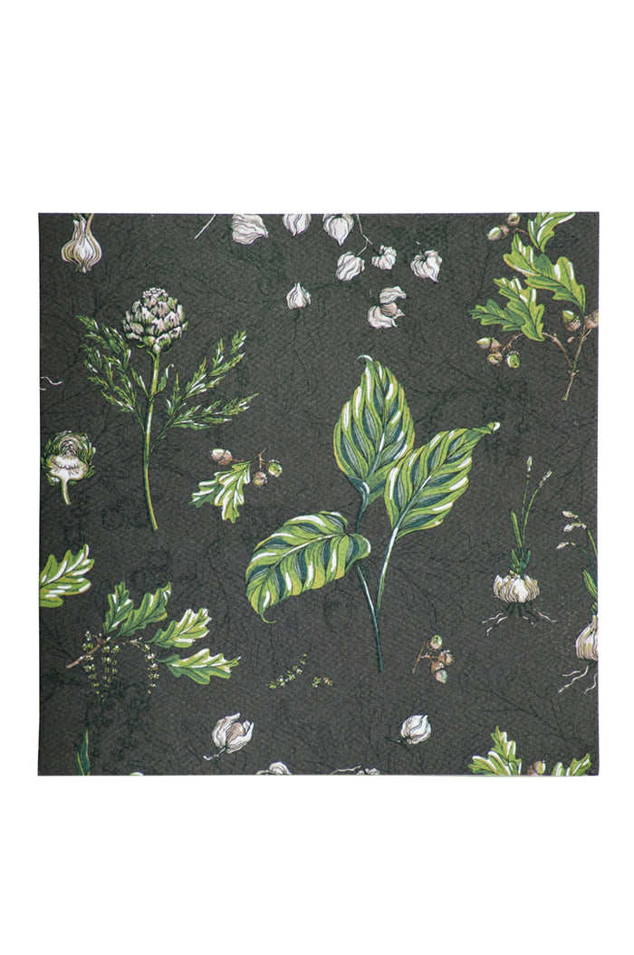 greeting cards set of nine - bianca lorenne original prints